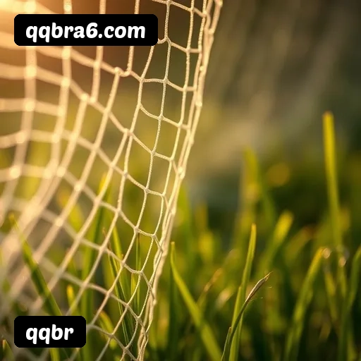 Estatísticas qqbr 2025–2026 - 120 mil jogadores ativos, R$72.5M pagos, RTP 96.52%